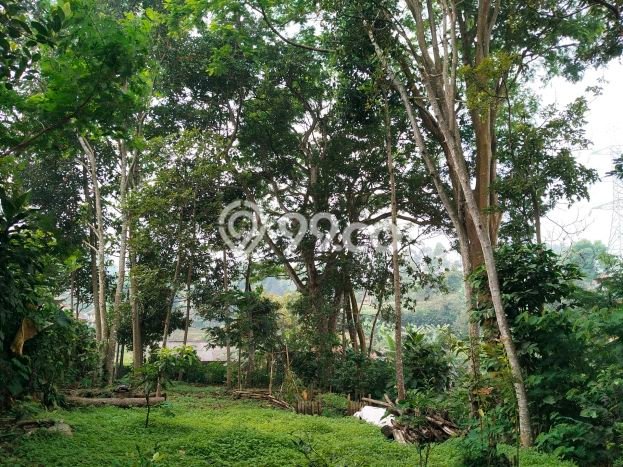 Jarang Ada! Tanah di Banjaran Punya Luas 1358m2 AJB Jarang Ada! Tanah di Banjaran Punya Luas 1358m2 AJB