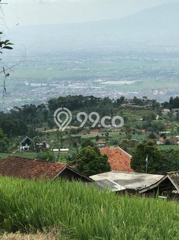 Jarang Ada! Tanah di Pangalengan Punya Luas 1456m2 SHM Jarang Ada! Tanah di Pangalengan Punya Luas 1456m2 SHM