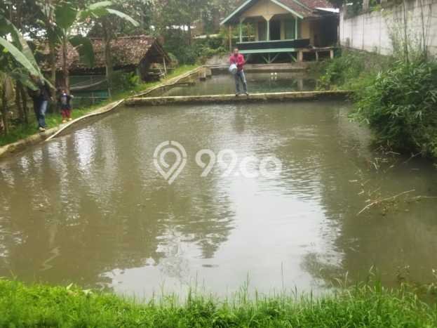 Jarang Ada! Tanah di Arjasari Punya Luas 448m2 SHM Jarang Ada! Tanah di Arjasari Punya Luas 448m2 SHM