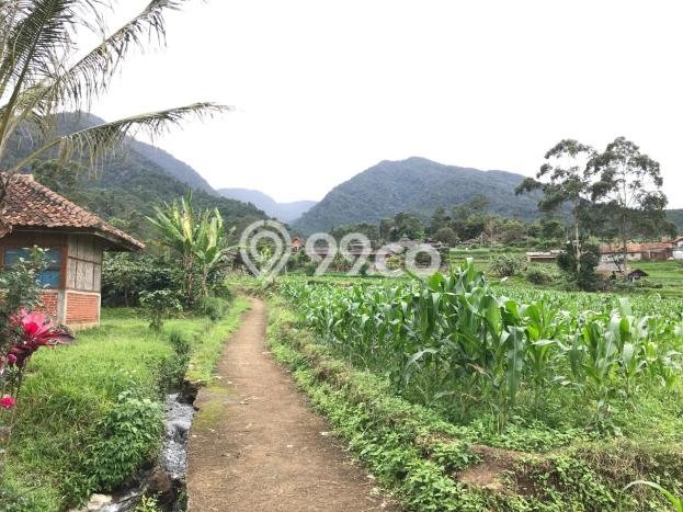 Jarang Ada! Tanah di Pangalengan Punya Luas 1456m2 SHM Jarang Ada! Tanah di Pangalengan Punya Luas 1456m2 SHM