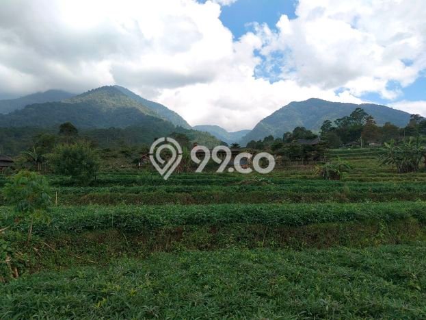 Jarang Ada! Tanah di Pangalengan Punya Luas 1456m2 SHM Jarang Ada! Tanah di Pangalengan Punya Luas 1456m2 SHM