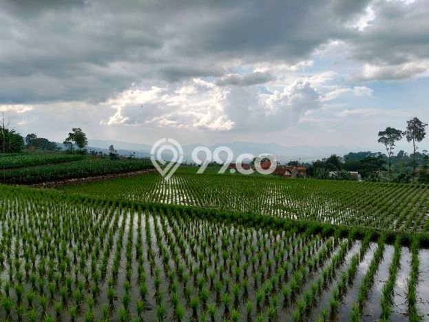 Tanah Strategis Dijual di Banjaran Bandung 560m2 Tanah Strategis Dijual di Banjaran Bandung 560m2