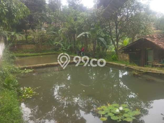 Jarang Ada! Tanah di Arjasari Punya Luas 448m2 SHM Jarang Ada! Tanah di Arjasari Punya Luas 448m2 SHM