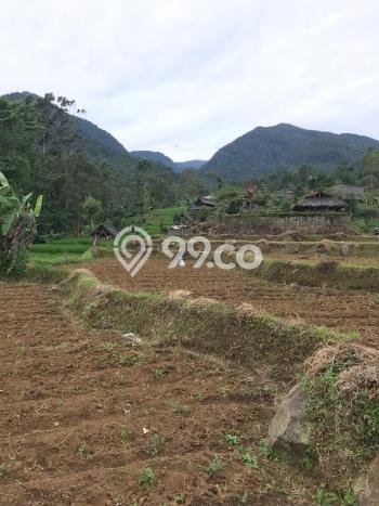 Jarang Ada! Tanah di Pangalengan Punya Luas 1456m2 SHM Jarang Ada! Tanah di Pangalengan Punya Luas 1456m2 SHM