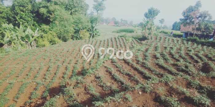 Tanah Strategis Dijual di Banjaran Bandung 1498m2 Tanah Strategis Dijual di Banjaran Bandung 1498m2