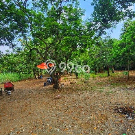 Tanah Dijual Lokasi Strategis di Tangerang dengan Luas 6400m2 Tanah Dijual Lokasi Strategis di Tangerang dengan Luas 6400m2