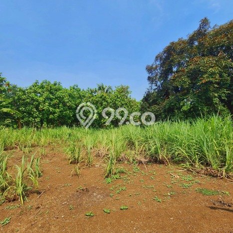 Tanah Dijual Lokasi Strategis di Tangerang dengan Luas 6400m2 Tanah Dijual Lokasi Strategis di Tangerang dengan Luas 6400m2
