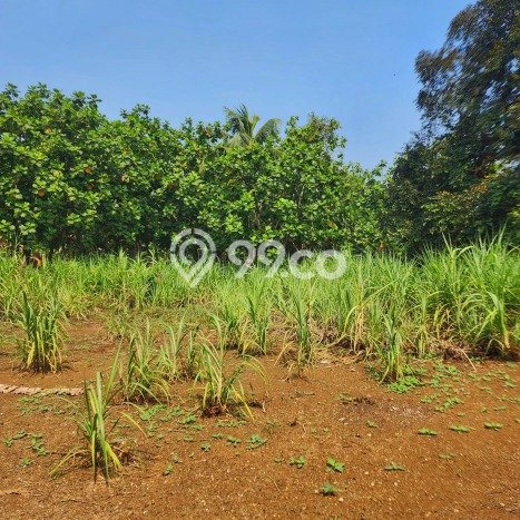 Tanah Dijual Lokasi Strategis di Tangerang dengan Luas 6400m2 Tanah Dijual Lokasi Strategis di Tangerang dengan Luas 6400m2