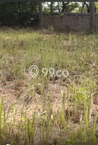 Tanah untuk Dijual di Benda Tangerang Luas 7000m2 Tanah untuk Dijual di Benda Tangerang Luas 7000m2