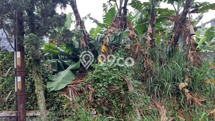 Tanah Dijual di Bandung Seluas 150m2 Strategis Tanah Dijual di Bandung Seluas 150m2 Strategis