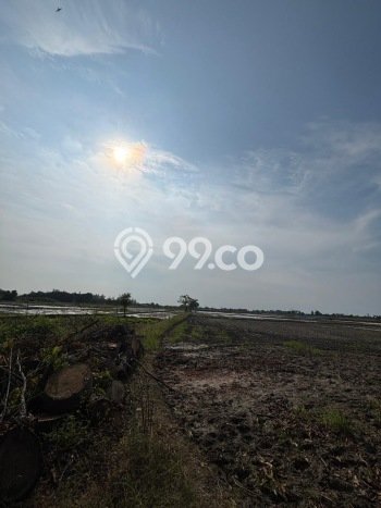 Kavling Tanah Dijual di Subang, Subang, Luas 70000m2 Area Strategis Kavling Tanah Dijual di Subang, Subang, Luas 70000m2 Area Strategis