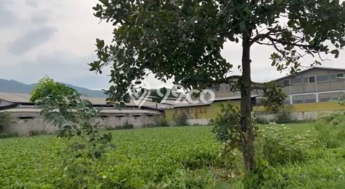 Lokasi Strategis! Dijual Gudang Bisnis di Baleendah, Bandung Kondisi Bagus Lokasi Strategis! Dijual Gudang Bisnis di Baleendah, Bandung Kondisi Bagus