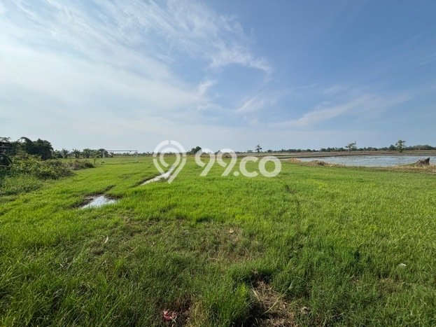Kavling Tanah Dijual di Subang, Subang, Luas 70000m2 Area Strategis Kavling Tanah Dijual di Subang, Subang, Luas 70000m2 Area Strategis