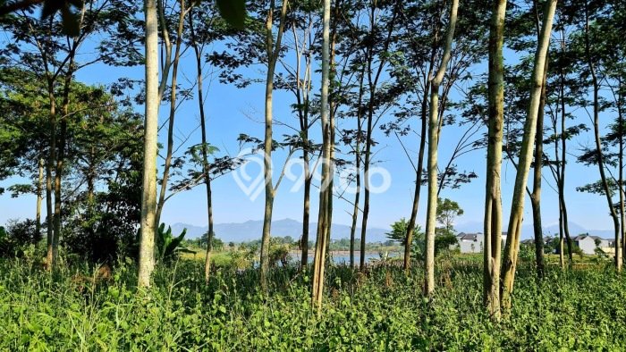 Tanah Kavling Dijual di Bandung dengan Spesifikasi 464m2 Tanah Kavling Dijual di Bandung dengan Spesifikasi 464m2