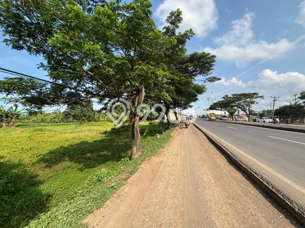 Kavling Tanah Dijual di Subang, Subang, Luas 70000m2 Area Strategis Kavling Tanah Dijual di Subang, Subang, Luas 70000m2 Area Strategis