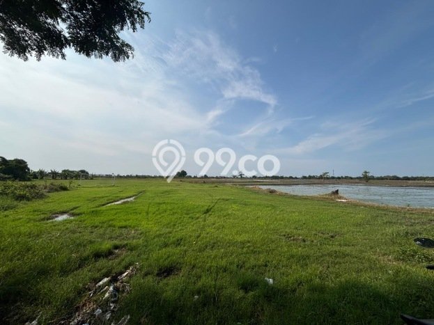 Kavling Tanah Dijual di Subang, Subang, Luas 70000m2 Area Strategis Kavling Tanah Dijual di Subang, Subang, Luas 70000m2 Area Strategis