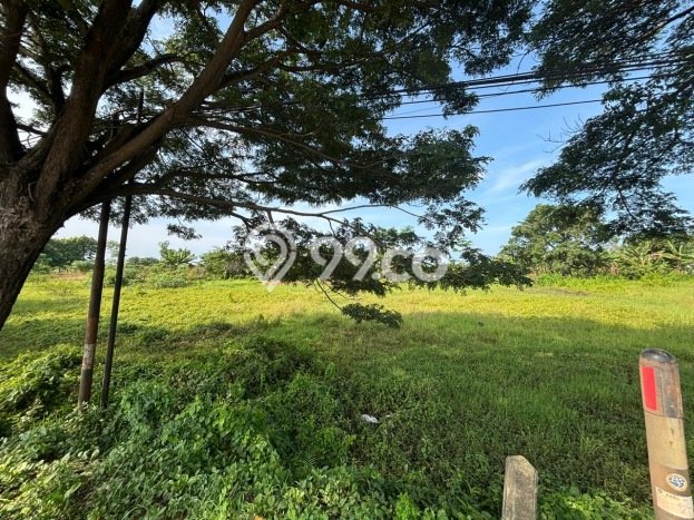 Kavling Tanah Dijual di Subang, Subang, Luas 70000m2 Area Strategis Kavling Tanah Dijual di Subang, Subang, Luas 70000m2 Area Strategis