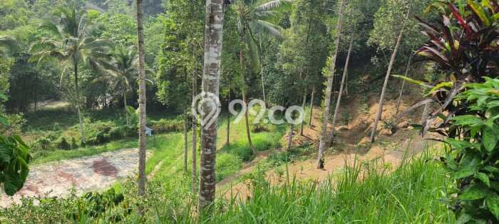 FOR SALE! Vila Kawasan Nagrak, Area 28000m2m², Posisi Premium FOR SALE! Vila Kawasan Nagrak, Area 28000m2m², Posisi Premium