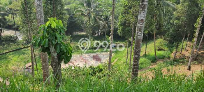FOR SALE! Vila Kawasan Nagrak, Area 28000m2m², Posisi Premium FOR SALE! Vila Kawasan Nagrak, Area 28000m2m², Posisi Premium