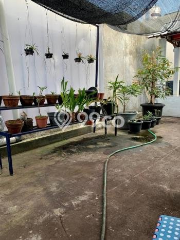 Dijual Hunian Rumah Terawat 3 KT di Sleman, Yogyakarta Dijual Hunian Rumah Terawat 3 KT di Sleman, Yogyakarta