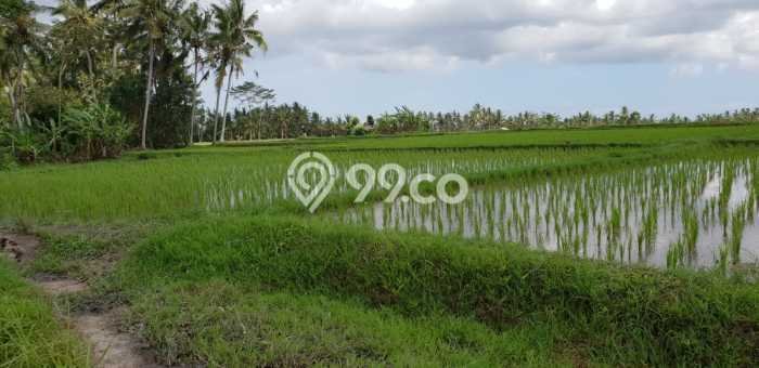 DIJUAL! Vila di Ubud, Luas 4640m2m², Posisi Premium DIJUAL! Vila di Ubud, Luas 4640m2m², Posisi Premium