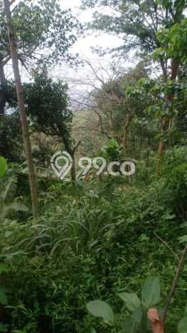 Tanah Kavling di Cigudeg Dijual dengan Luas 10000m2 Tanah Kavling di Cigudeg Dijual dengan Luas 10000m2