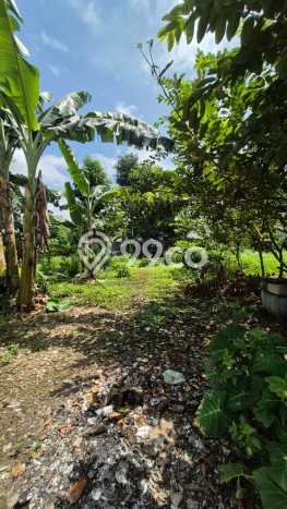 Tanah Dijual Lokasi Cimanggis, Depok dengan Luas Tanah 998m2 dan Status SHM Tanah Dijual Lokasi Cimanggis, Depok dengan Luas Tanah 998m2 dan Status SHM