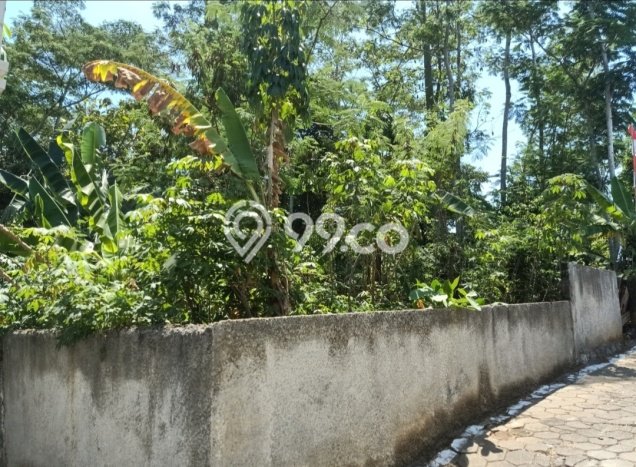 Tanah Dijual Lokasi Tembalang, Semarang dengan Luas Tanah 2035m2 dan Status SHM Tanah Dijual Lokasi Tembalang, Semarang dengan Luas Tanah 2035m2 dan Status SHM