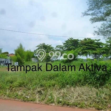 Kavling Tanah Dijual di Tapos Depok Spesifikasi 1600m2 Kavling Tanah Dijual di Tapos Depok Spesifikasi 1600m2