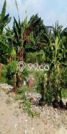 Untuk Dijual Tanah 5000m2 di Pondok Cabe, Tangerang Untuk Dijual Tanah 5000m2 di Pondok Cabe, Tangerang