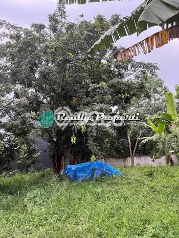 Kavling Tanah untuk Dijual di Ciangsana, Bogor, Luas 556m2 Kavling Tanah untuk Dijual di Ciangsana, Bogor, Luas 556m2