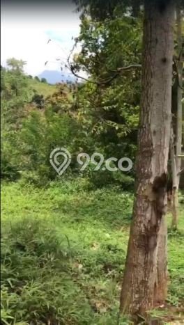 Jual Tanah di Cimenyan, Luas 1475m2m², Kawasan Asri, Kontur Datar Jual Tanah di Cimenyan, Luas 1475m2m², Kawasan Asri, Kontur Datar