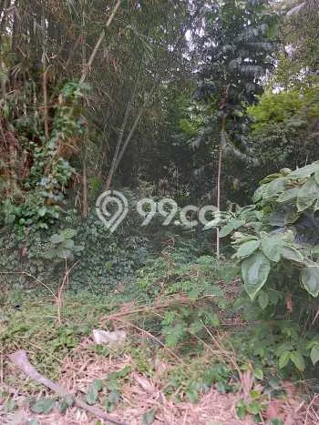 Tanah Kavling di Cileunyi Dijual dengan Luas 4000m2 Tanah Kavling di Cileunyi Dijual dengan Luas 4000m2