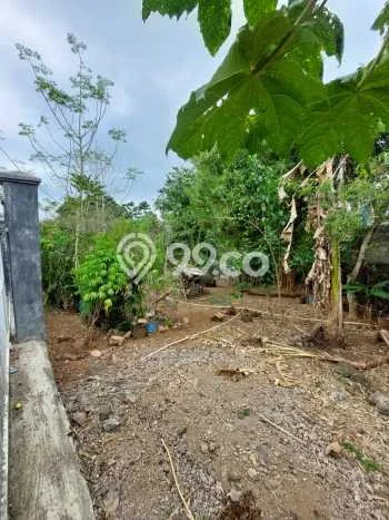Tanah Kavling di Cileunyi Dijual dengan Luas 4000m2 Tanah Kavling di Cileunyi Dijual dengan Luas 4000m2