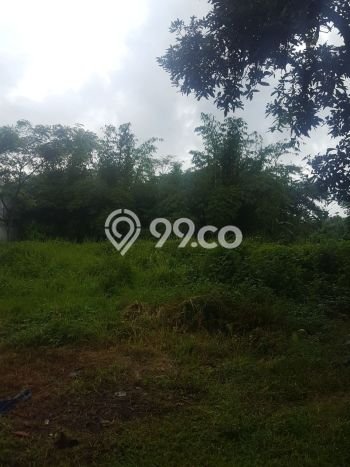 Kavling Tanah Dijual di Purworejo Purworejo Spesifikasi 3026m2 Kavling Tanah Dijual di Purworejo Purworejo Spesifikasi 3026m2