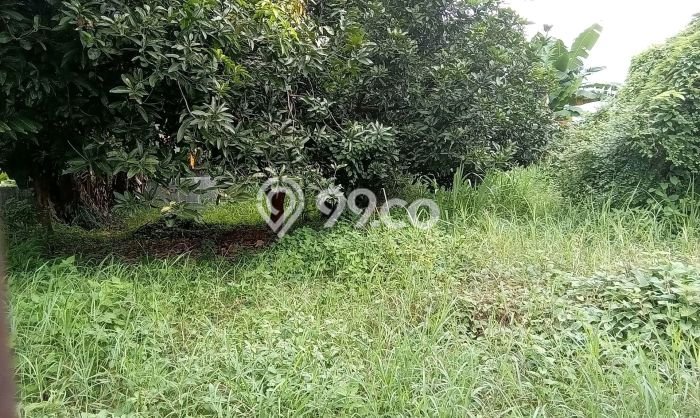 Dijual Tanah Lokasi Pondok Kelapa, Jakarta Timur Seluas 310m2 Dijual Tanah Lokasi Pondok Kelapa, Jakarta Timur Seluas 310m2