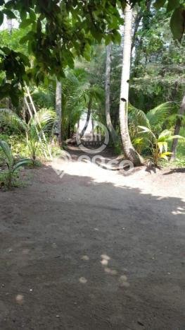 Tanah Kavling Dijual di Pulau Pelangi, Kepulauan Seribu dengan Luas Tanah 16800m2 Tanah Kavling Dijual di Pulau Pelangi, Kepulauan Seribu dengan Luas Tanah 16800m2
