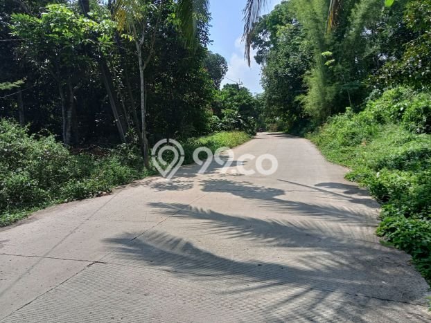 Tanah Dijual Lokasi Jasinga, Bogor Luas 3000m2 Legalitas Aman Tanah Dijual Lokasi Jasinga, Bogor Luas 3000m2 Legalitas Aman