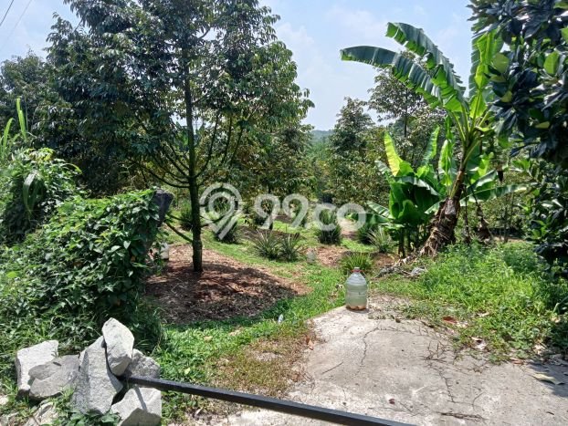 Jarang Ada! Tanah di Jasinga Punya Luas 4000m2 SHM Jarang Ada! Tanah di Jasinga Punya Luas 4000m2 SHM