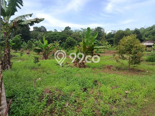 Tanah Kosong Dijual di Bogor dengan Area 6000m2 Tanah Kosong Dijual di Bogor dengan Area 6000m2