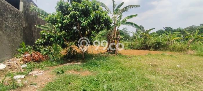 Tanah Dijual Area Strategis di Pakuan Bogor 400m2 Tanah Dijual Area Strategis di Pakuan Bogor 400m2
