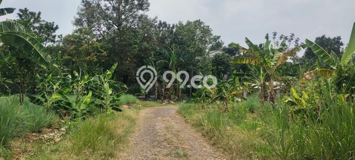 Tanah Investasi Dijual di Bogor Punya Luas 530m2 Tanah Investasi Dijual di Bogor Punya Luas 530m2