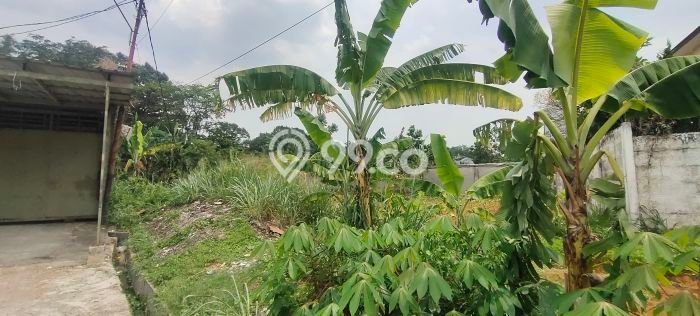 Tanah Investasi Dijual di Bogor Punya Luas 530m2 Tanah Investasi Dijual di Bogor Punya Luas 530m2
