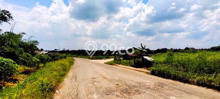 Lahan Investasi Lokasi Citeureup Bogor - Lahan Investasi Lokasi Citeureup Bogor -