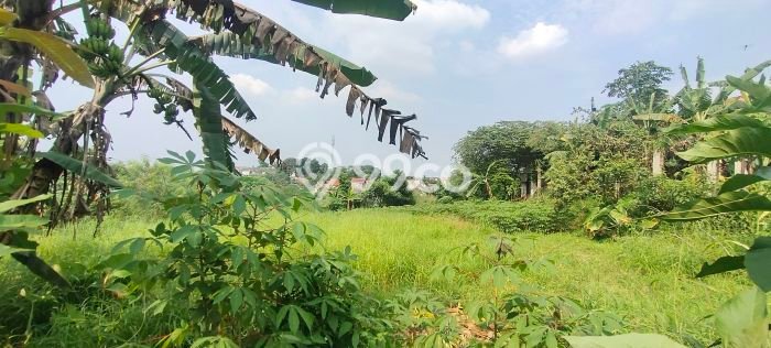 HARGA MENARIK! Tanah Kawasan , Luas 3100m2m², Area Nyaman HARGA MENARIK! Tanah Kawasan , Luas 3100m2m², Area Nyaman
