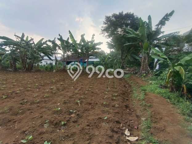 Tanah Dijual Lokasi Strategis di Bogor dengan Luas 1300m2 Tanah Dijual Lokasi Strategis di Bogor dengan Luas 1300m2
