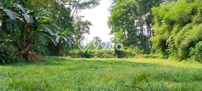 Lahan Dijual Lokasi Strategis di Bogor dengan Luas 850m2 Lahan Dijual Lokasi Strategis di Bogor dengan Luas 850m2