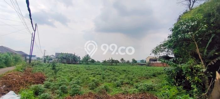 Tanah Komersial Kawasan Ciampea, Luas 3756m2m², Akses Mudah Tanah Komersial Kawasan Ciampea, Luas 3756m2m², Akses Mudah