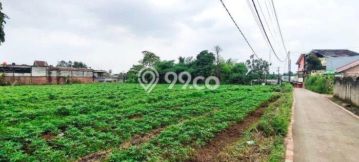 Tanah Komersial Kawasan Ciampea, Luas 3756m2m², Akses Mudah Tanah Komersial Kawasan Ciampea, Luas 3756m2m², Akses Mudah