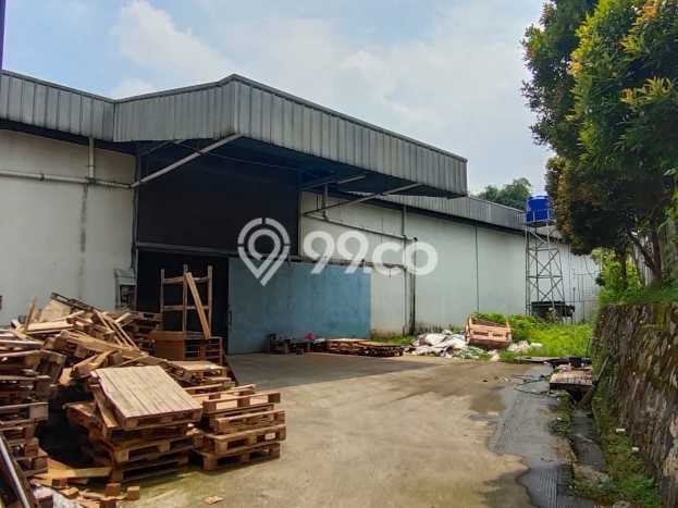 Unit Komersial Disewakan di Bogor Area Strategis Harga Kompetitif Unit Komersial Disewakan di Bogor Area Strategis Harga Kompetitif